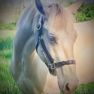 Meet your Posher, Ruby